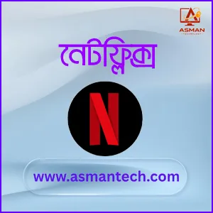 Netflix Premium Subscription